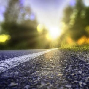 Curso de Medio Ambiente en COEX - Conservación y Explotación de Carreteras